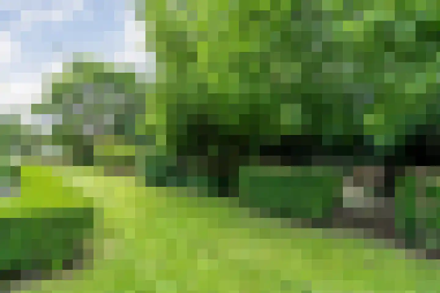 Nijeveense Bovenboer 22 Nijeveen thumbnail 68