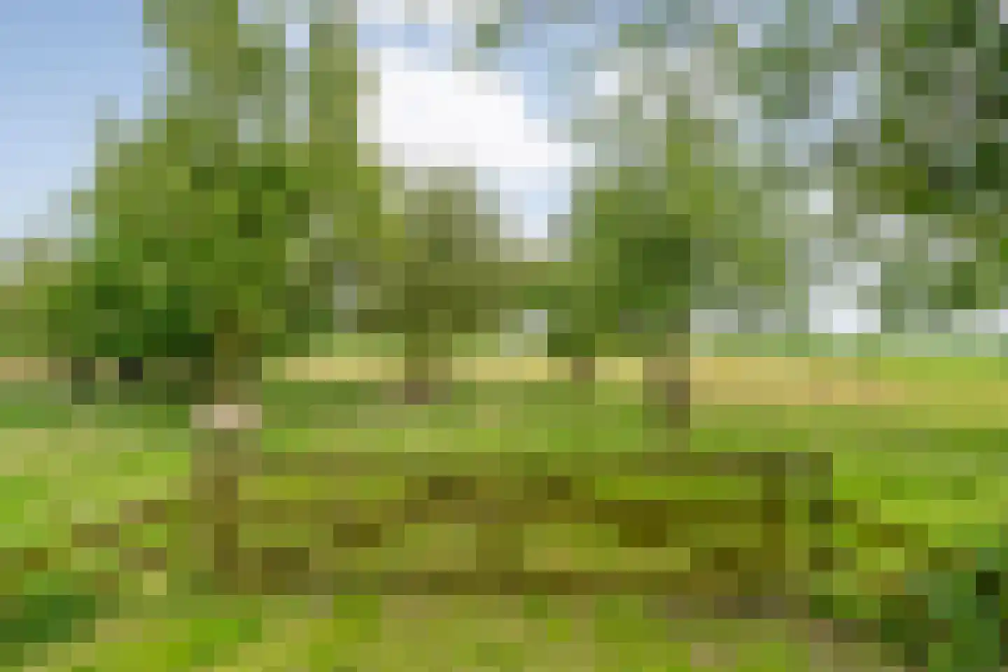 Nijeveense Bovenboer 22 Nijeveen thumbnail 69