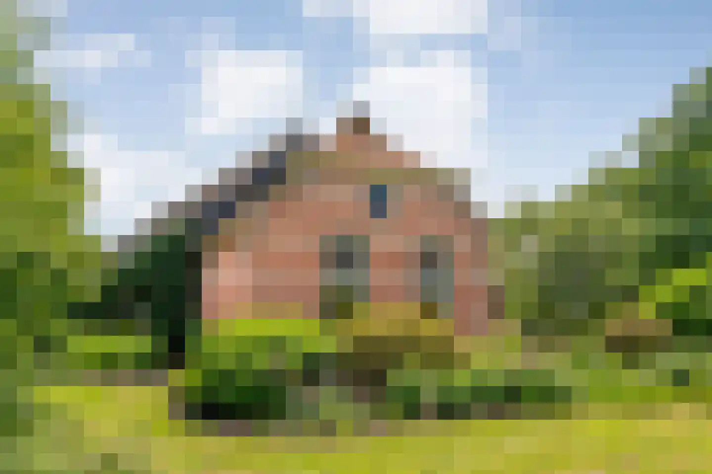 Nijeveense Bovenboer 22 Nijeveen thumbnail 7