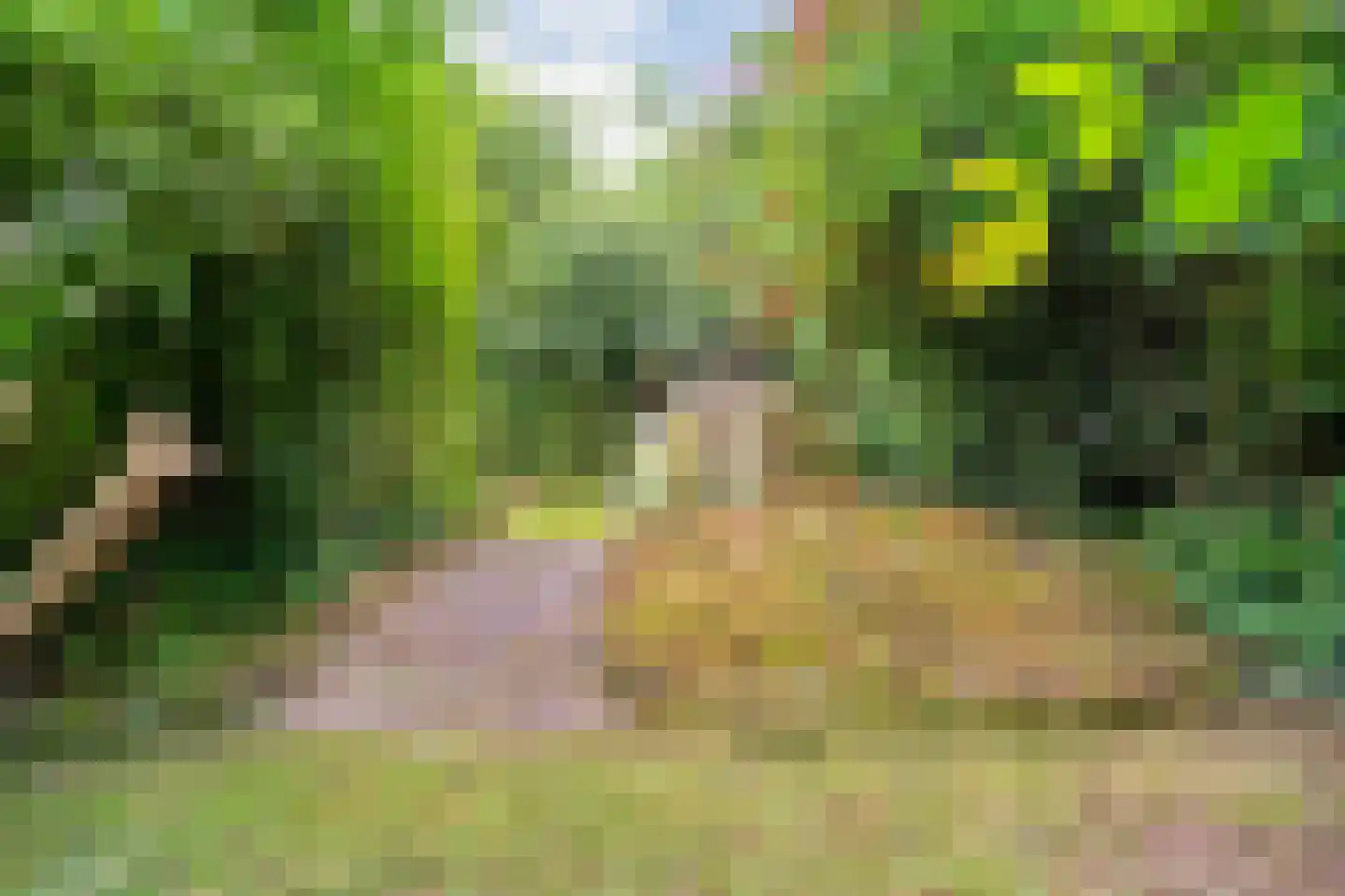 Nijeveense Bovenboer 22 Nijeveen thumbnail 71