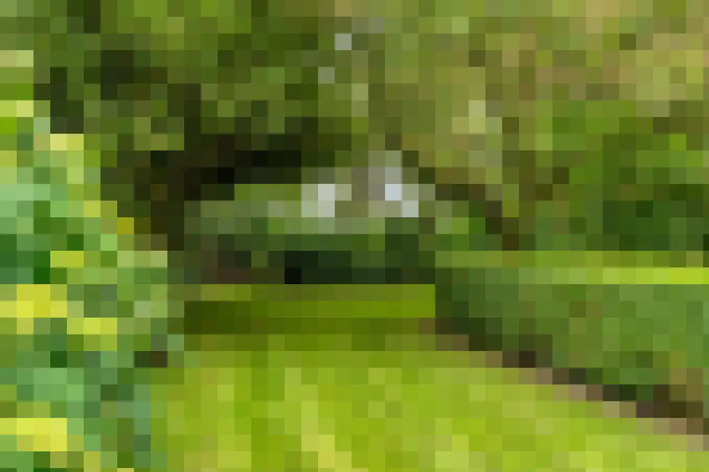 Nijeveense Bovenboer 22 Nijeveen thumbnail 72