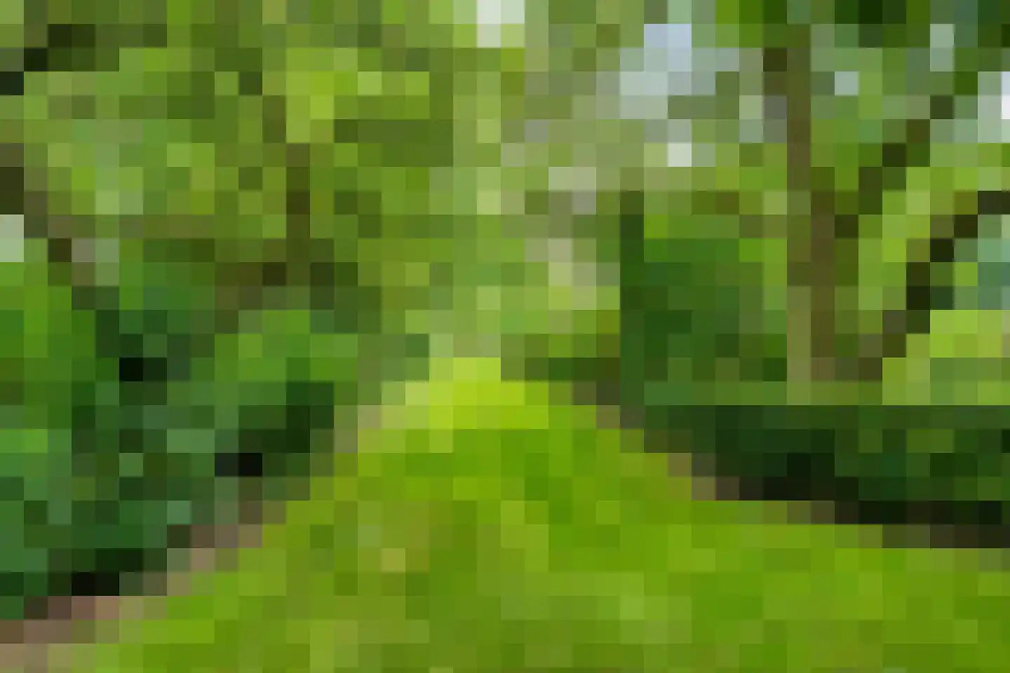 Nijeveense Bovenboer 22 Nijeveen thumbnail 73