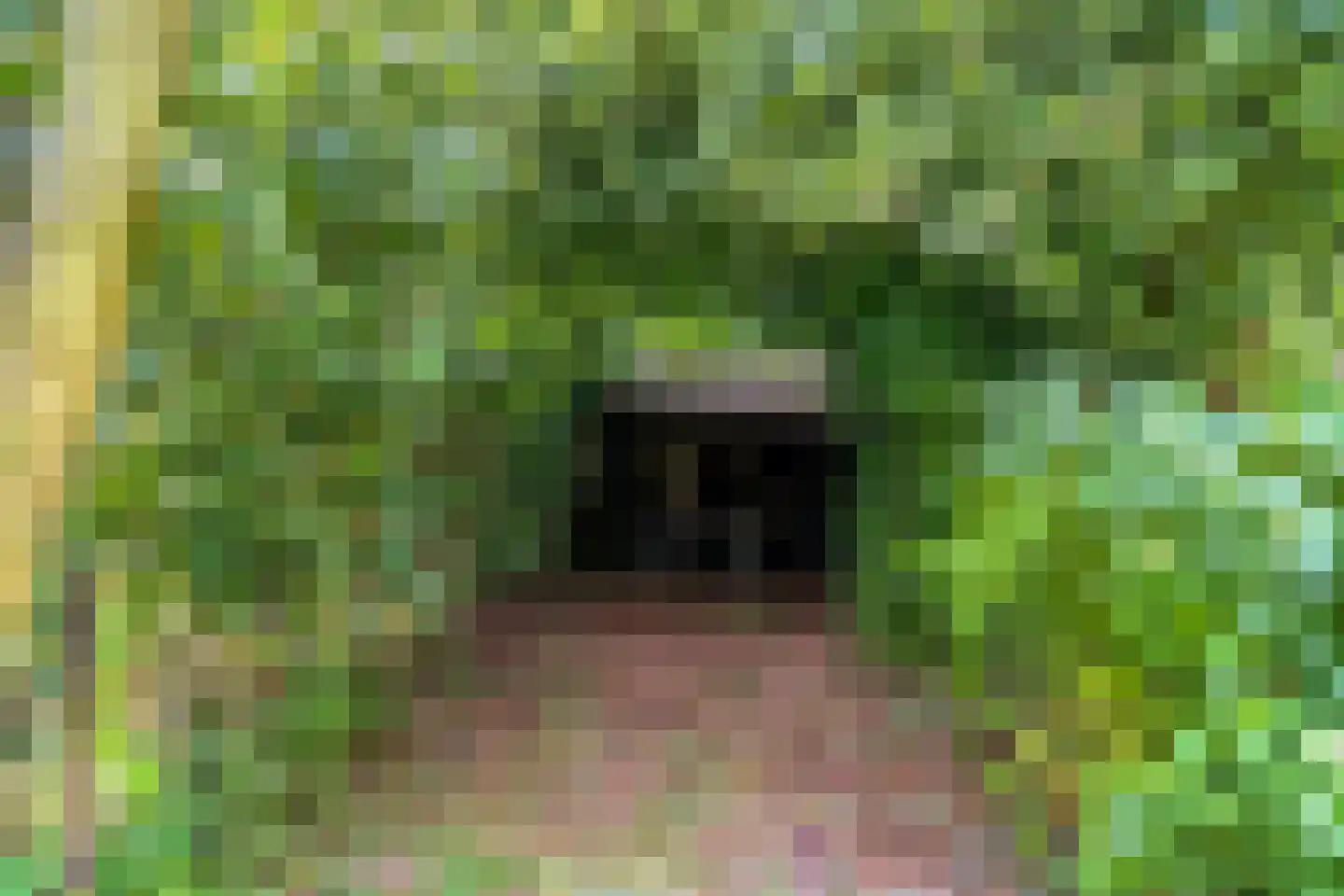 Nijeveense Bovenboer 22 Nijeveen thumbnail 74