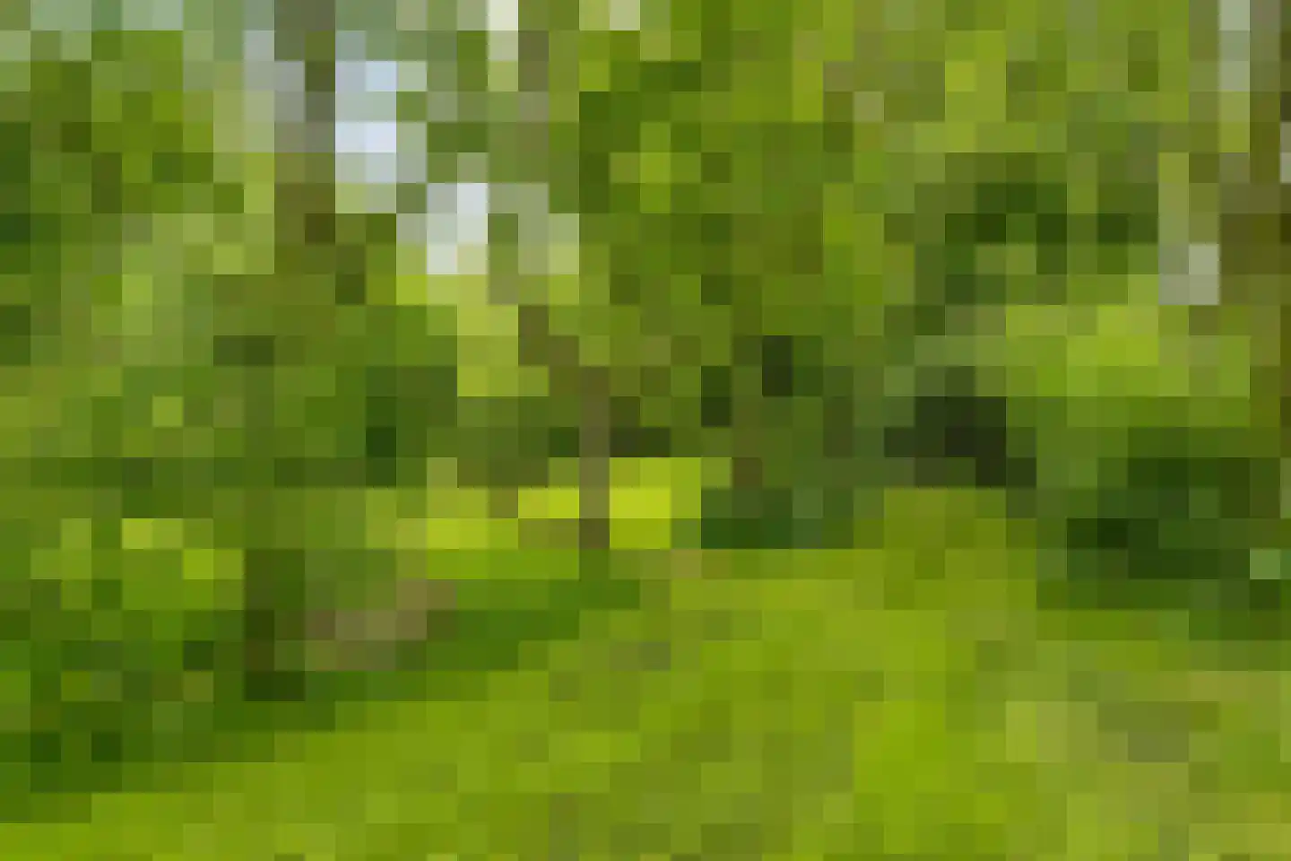 Nijeveense Bovenboer 22 Nijeveen thumbnail 75