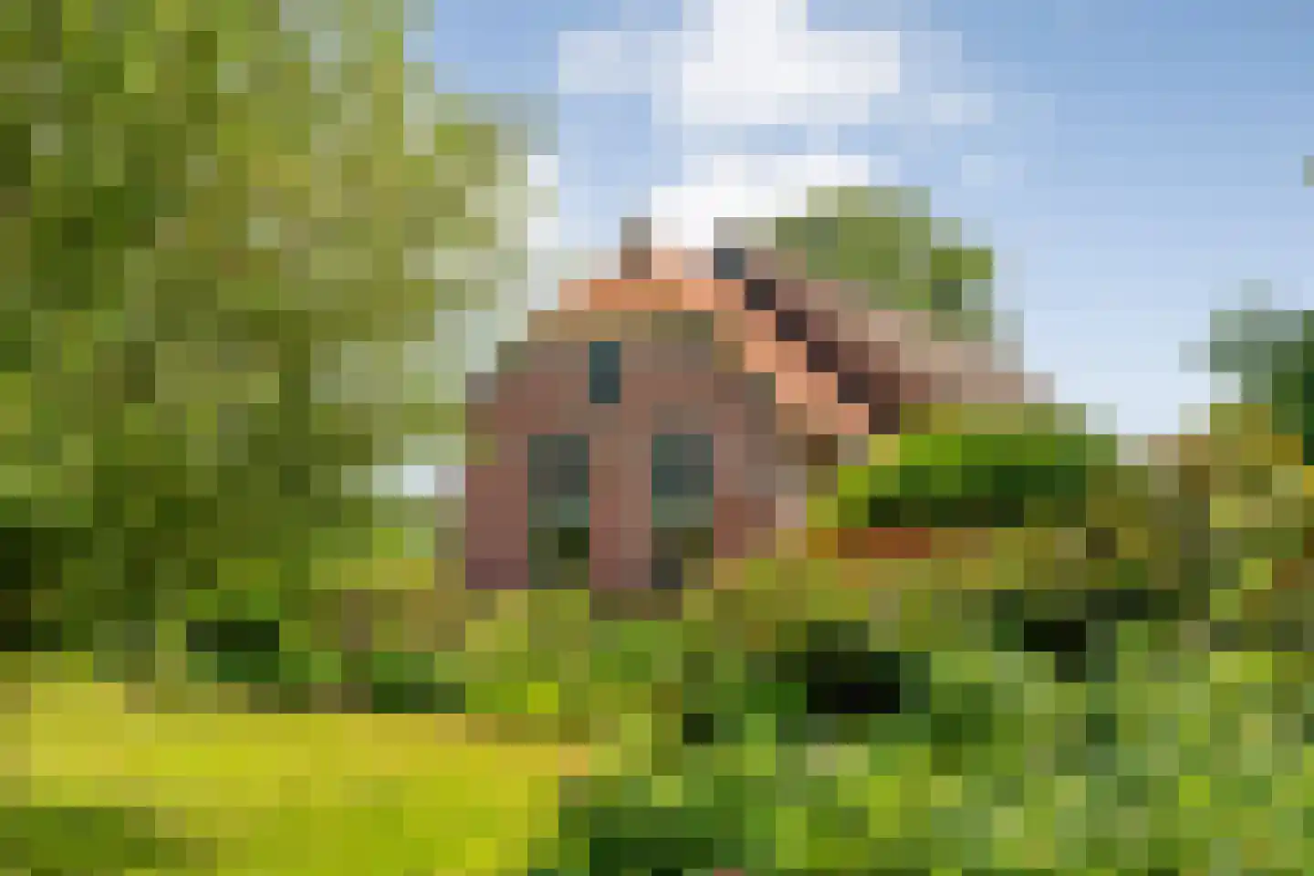 Nijeveense Bovenboer 22 Nijeveen thumbnail 8