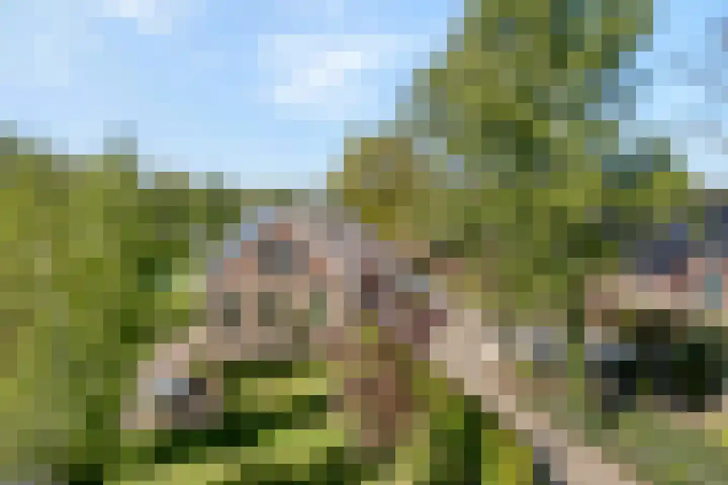 Nijeveense Bovenboer 37 Nijeveen