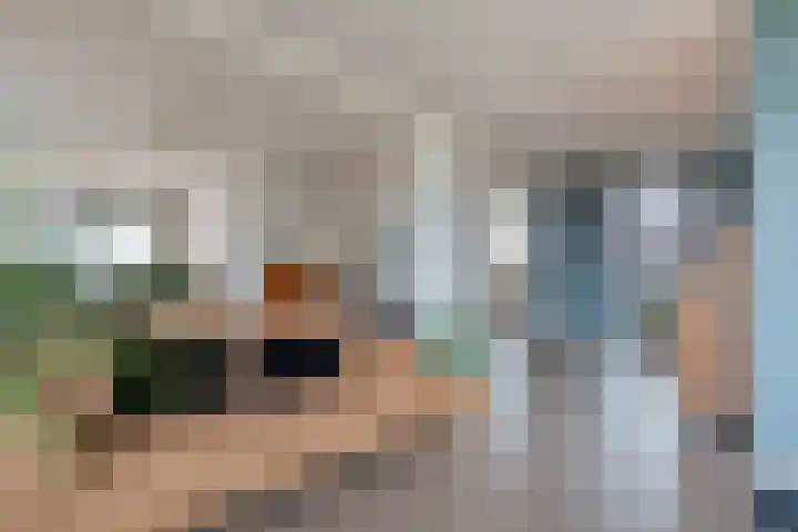 Nijeveense Bovenboer 6 Nijeveen thumbnail 10