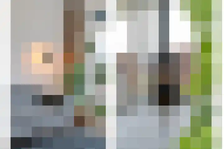 Nijeveense Bovenboer 6 Nijeveen thumbnail 12