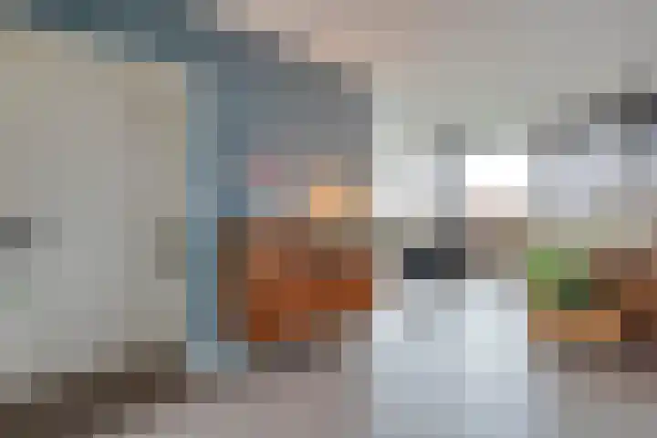 Nijeveense Bovenboer 6 Nijeveen thumbnail 13
