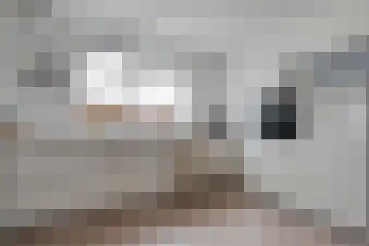 Nijeveense Bovenboer 6 Nijeveen thumbnail 15