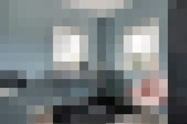 Nijeveense Bovenboer 6 Nijeveen thumbnail 18