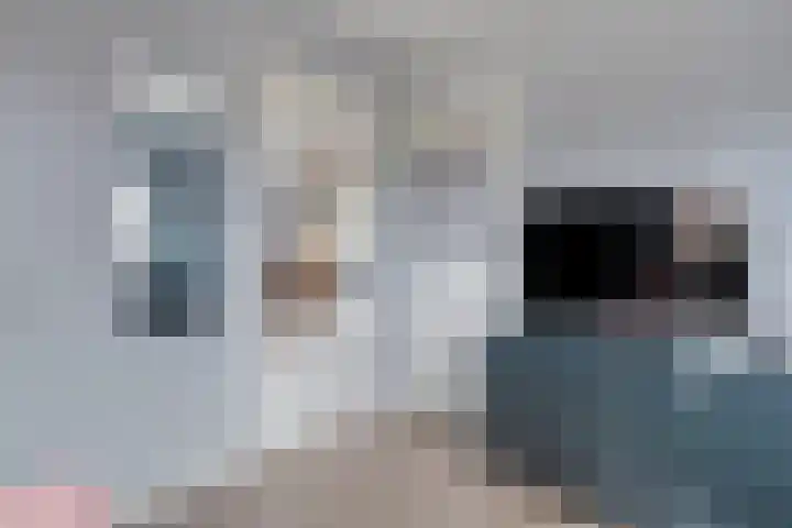 Nijeveense Bovenboer 6 Nijeveen thumbnail 19