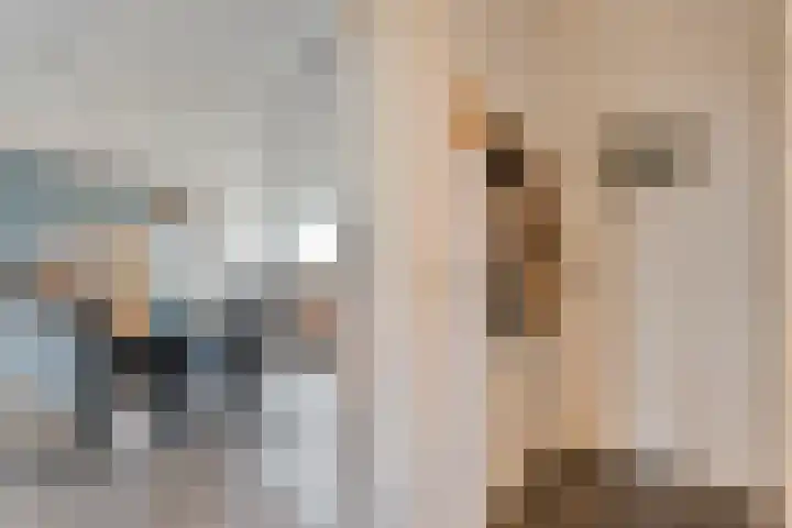 Nijeveense Bovenboer 6 Nijeveen thumbnail 20