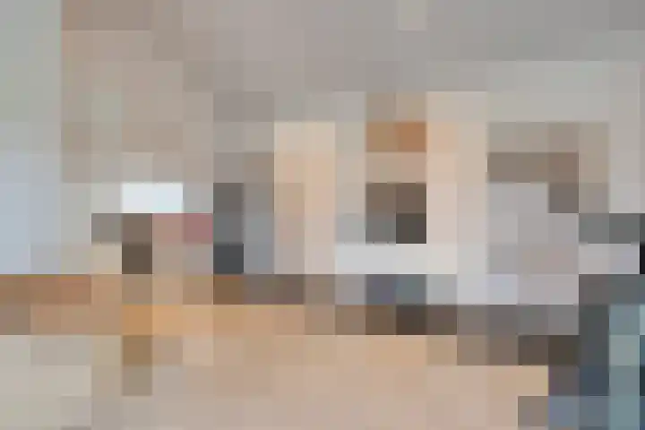 Nijeveense Bovenboer 6 Nijeveen thumbnail 22