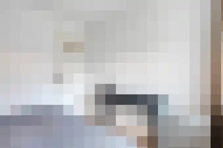 Nijeveense Bovenboer 6 Nijeveen thumbnail 29