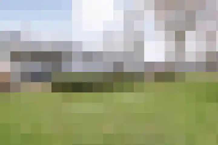 Nijeveense Bovenboer 6 Nijeveen thumbnail 37