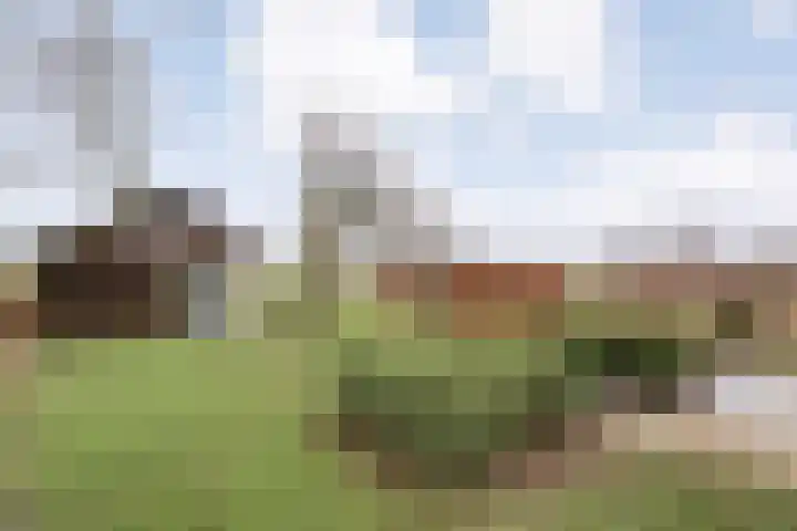 Nijeveense Bovenboer 6 Nijeveen thumbnail 38
