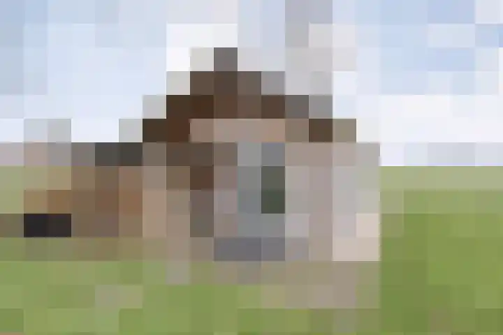 Nijeveense Bovenboer 6 Nijeveen thumbnail 39