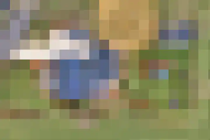 Nijeveense Bovenboer 6 Nijeveen thumbnail 4