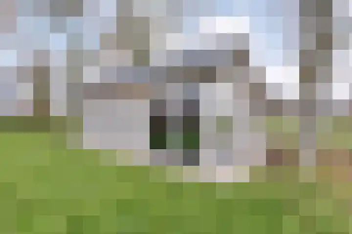 Nijeveense Bovenboer 6 Nijeveen thumbnail 41