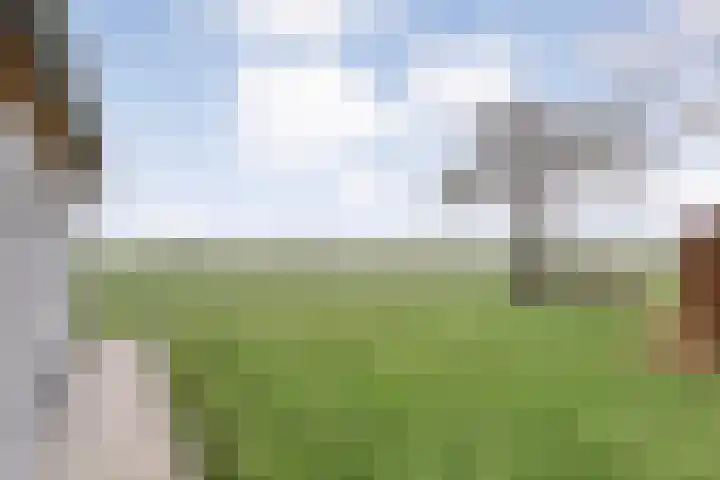 Nijeveense Bovenboer 6 Nijeveen thumbnail 42