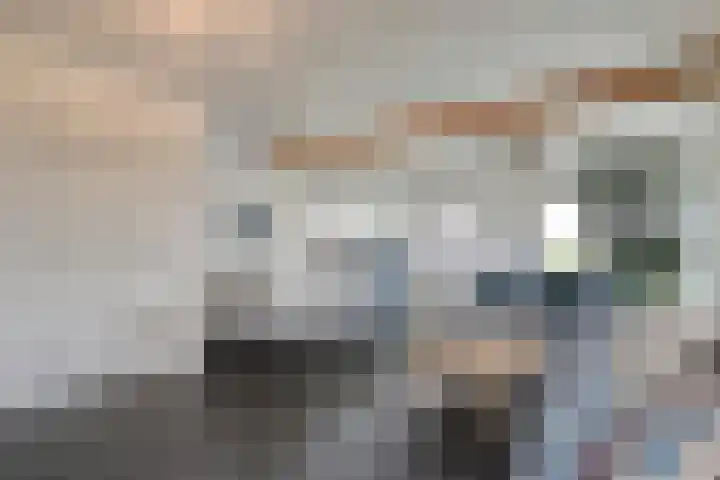Nijeveense Bovenboer 6 Nijeveen thumbnail 43