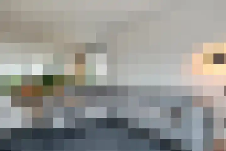 Nijeveense Bovenboer 6 Nijeveen thumbnail 5