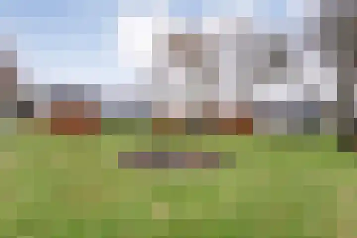 Nijeveense Bovenboer 6 Nijeveen thumbnail 50