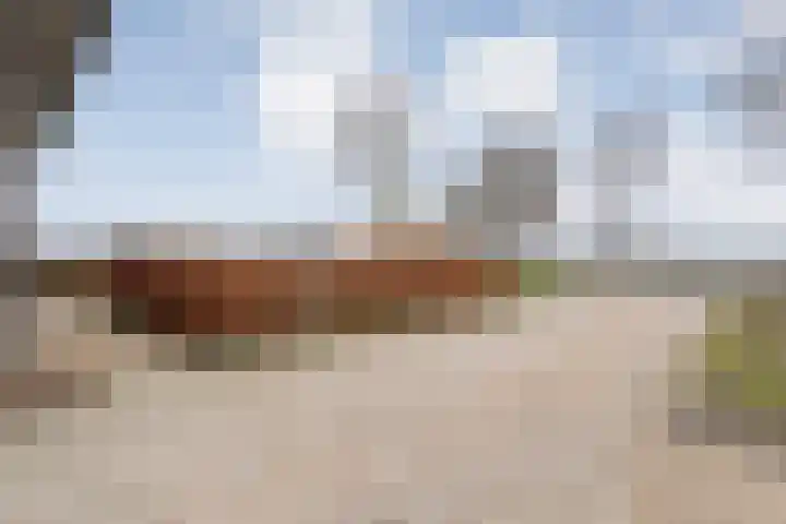 Nijeveense Bovenboer 6 Nijeveen thumbnail 55
