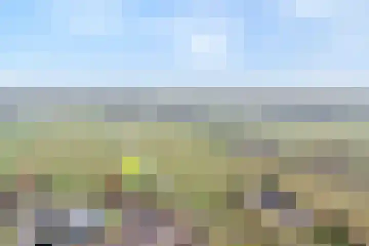 Nijeveense Bovenboer 6 Nijeveen thumbnail 58