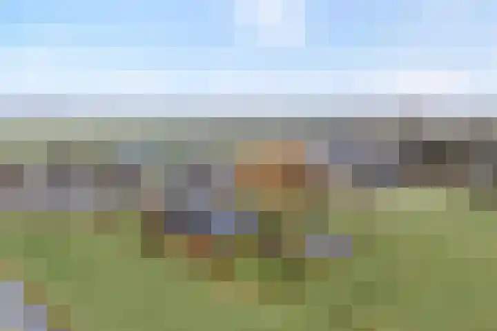 Nijeveense Bovenboer 6 Nijeveen thumbnail 59