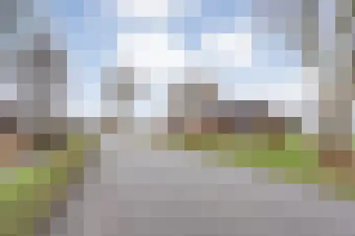 Nijeveense Bovenboer 6 Nijeveen thumbnail 60