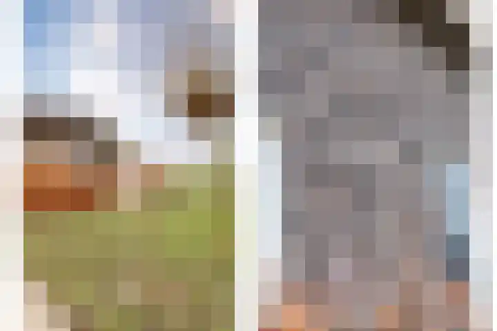 Nijeveense Bovenboer 6 Nijeveen thumbnail 61