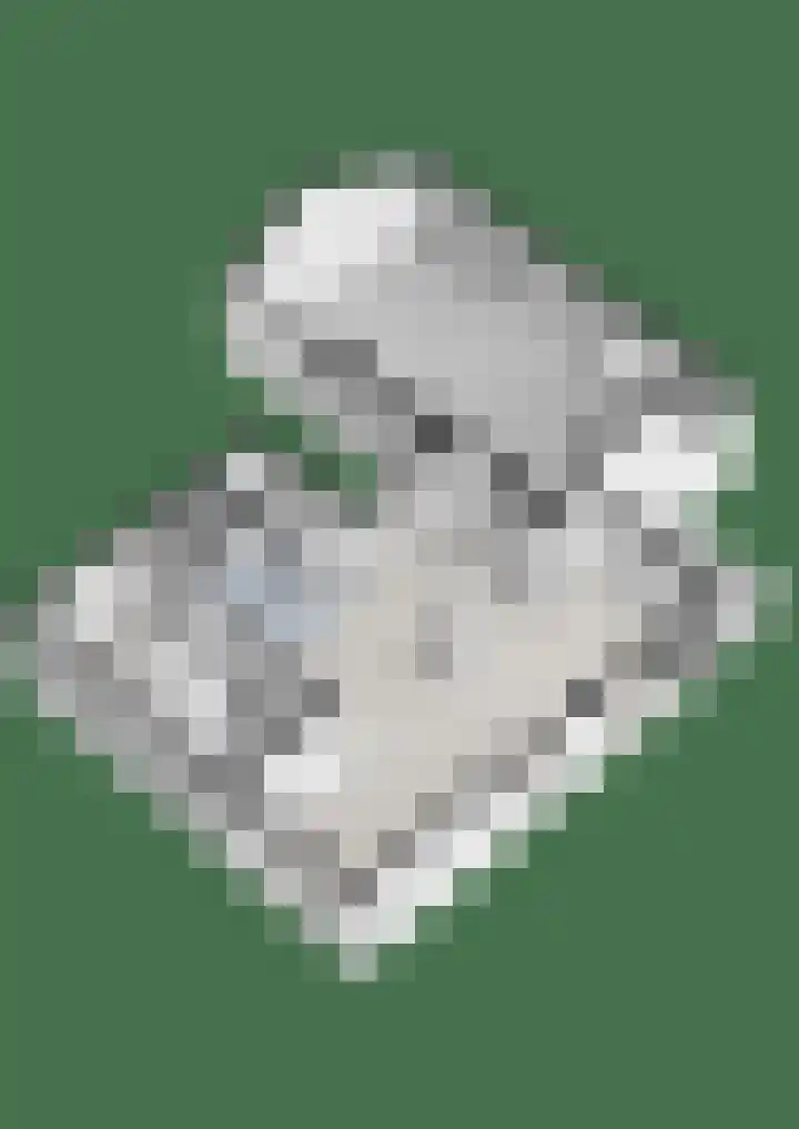 Nijeveense Bovenboer 6 Nijeveen thumbnail 67