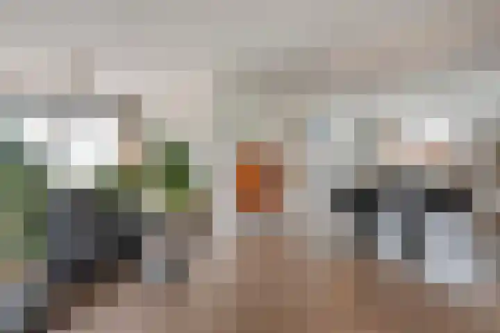 Nijeveense Bovenboer 6 Nijeveen thumbnail 7