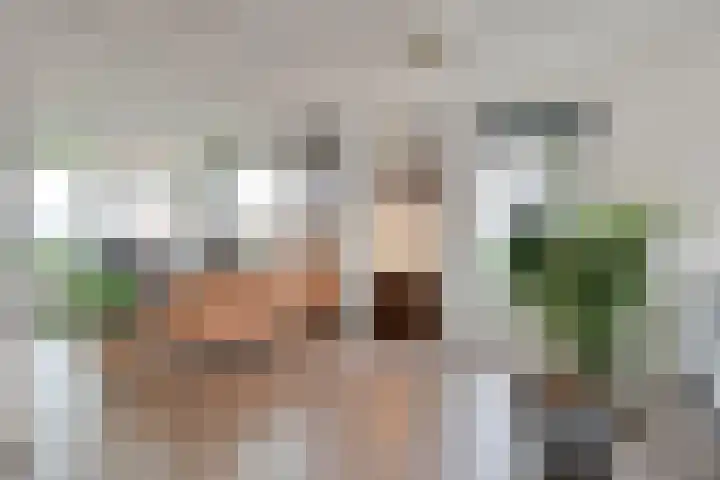 Nijeveense Bovenboer 6 Nijeveen thumbnail 8