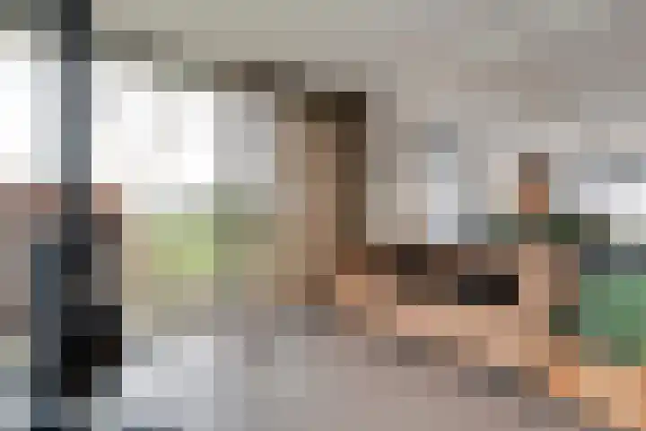 Nijeveense Bovenboer 6 Nijeveen thumbnail 9
