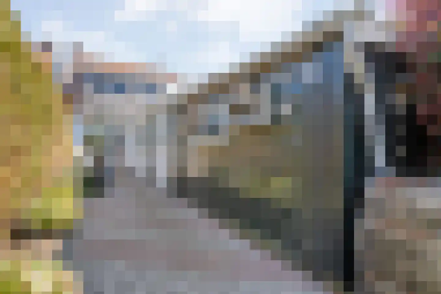 Nijeveenseweg 43 Meppel thumbnail 21