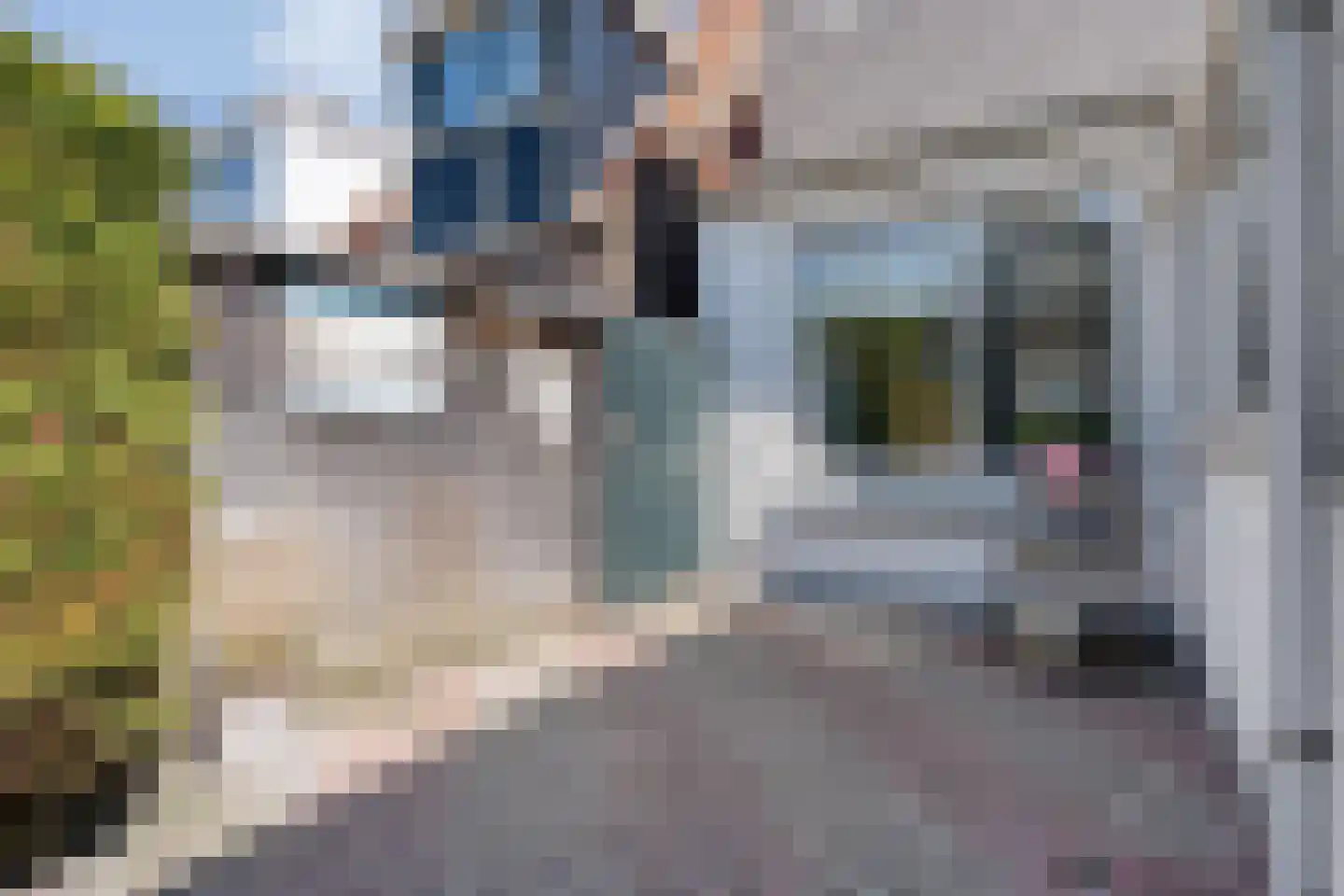 Nijeveenseweg 43 Meppel thumbnail 22