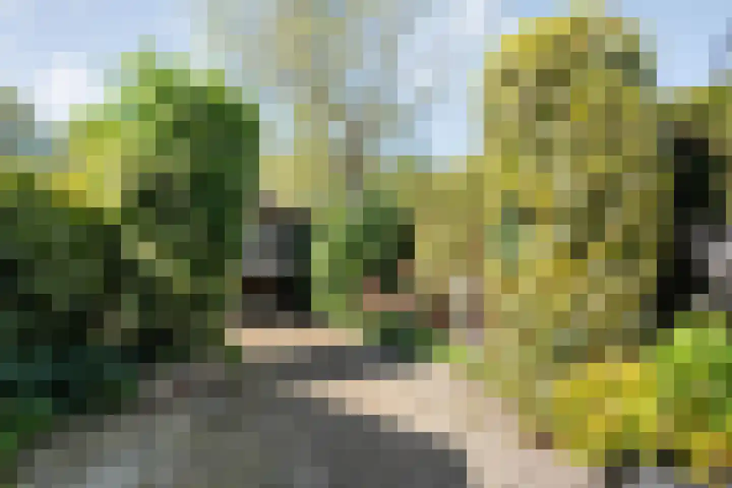 Nijeveenseweg 43 Meppel thumbnail 25