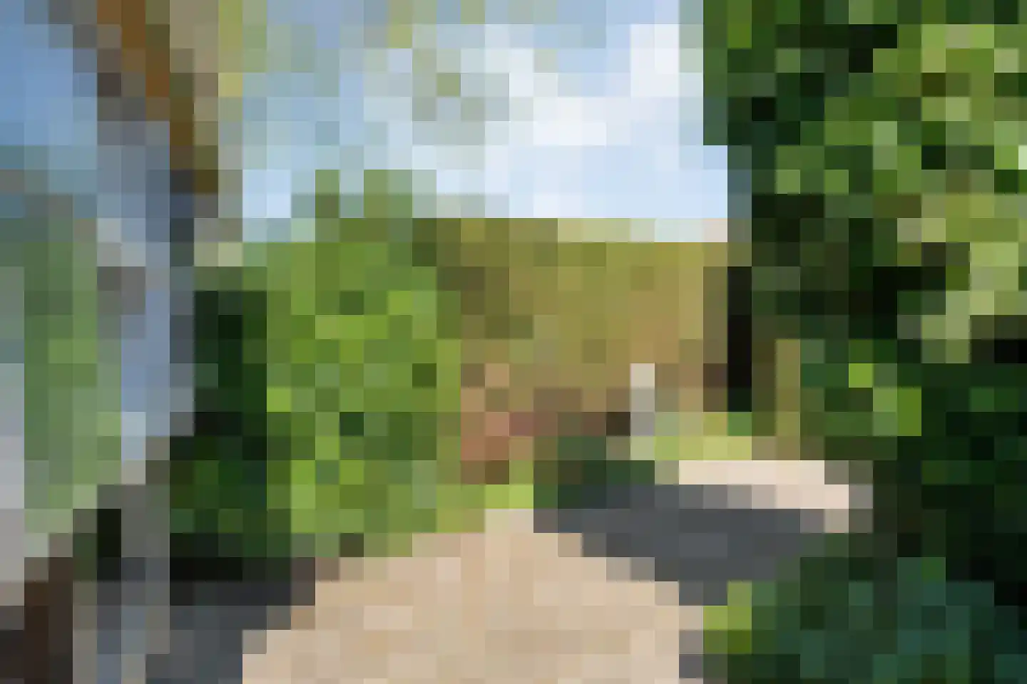 Nijeveenseweg 43 Meppel thumbnail 26
