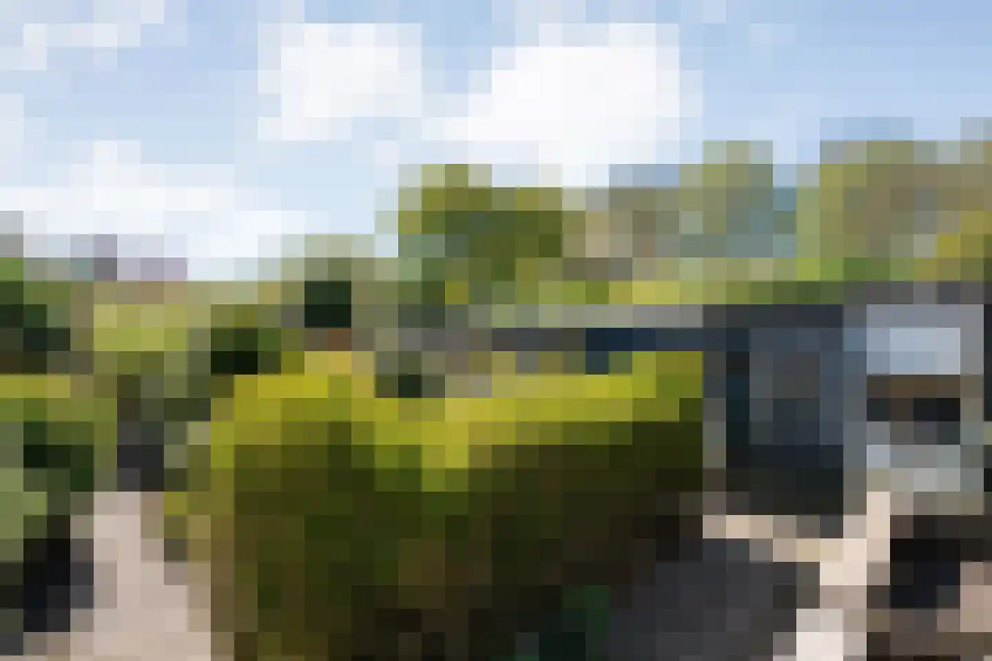 Nijeveenseweg 43 Meppel thumbnail 27