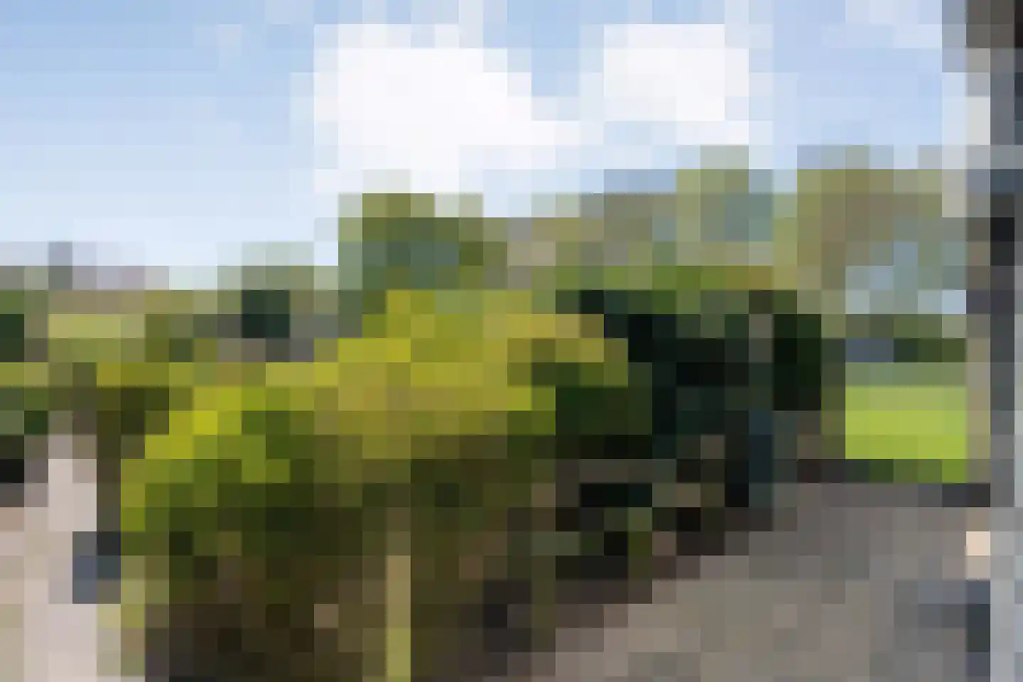 Nijeveenseweg 43 Meppel thumbnail 29