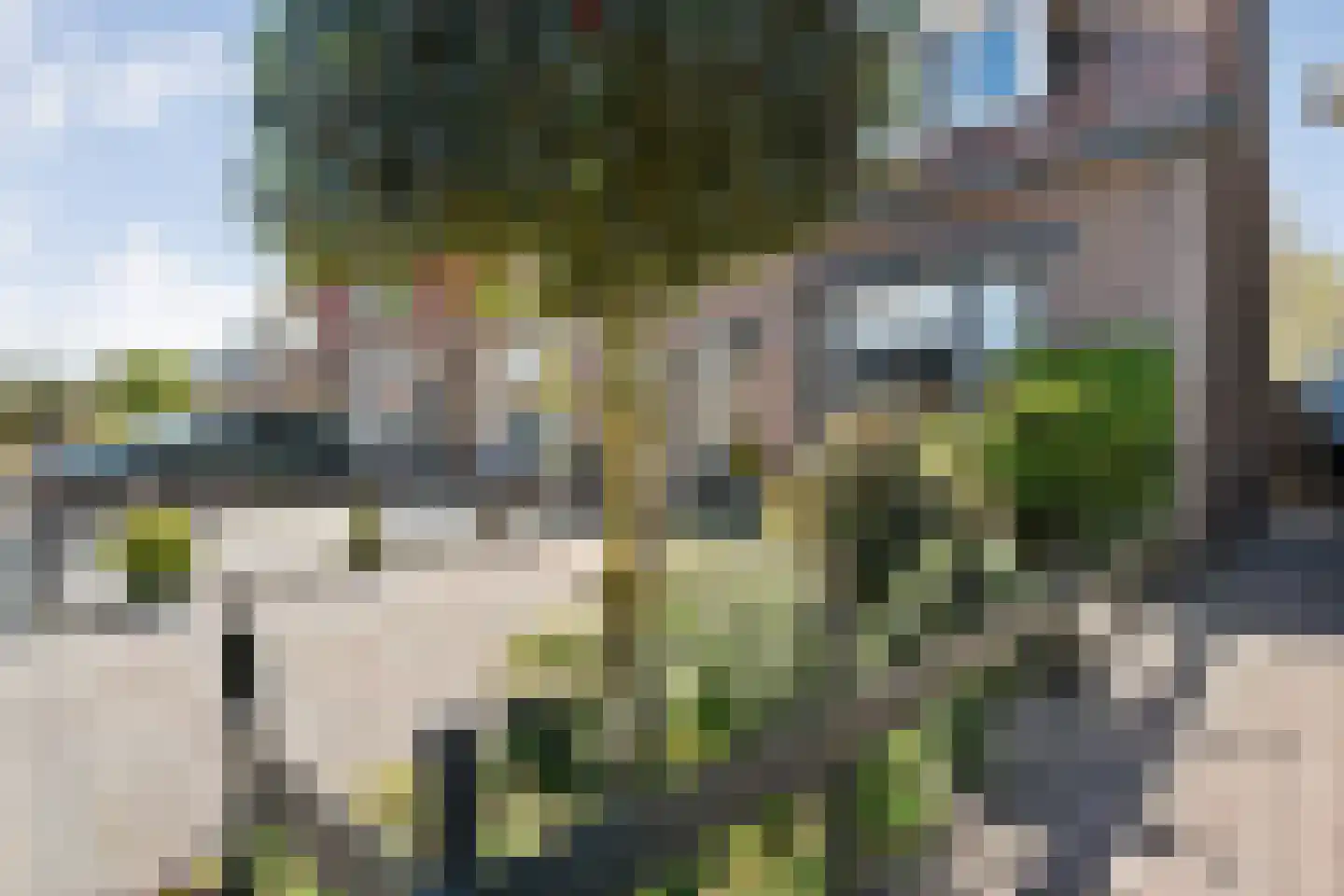 Nijeveenseweg 43 Meppel thumbnail 33