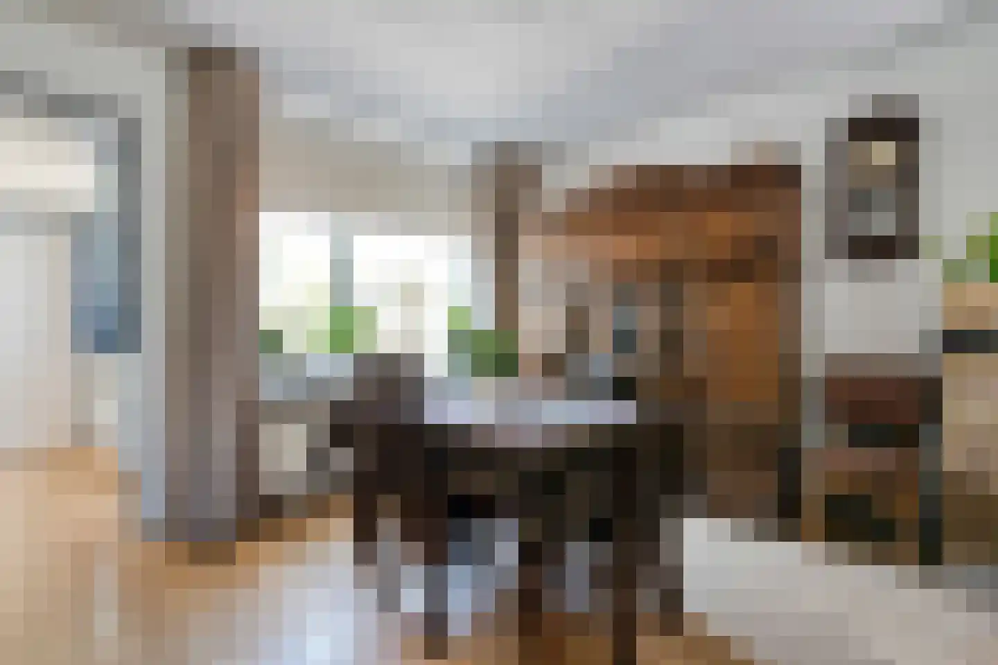 Nijeveenseweg 43 Meppel thumbnail 9