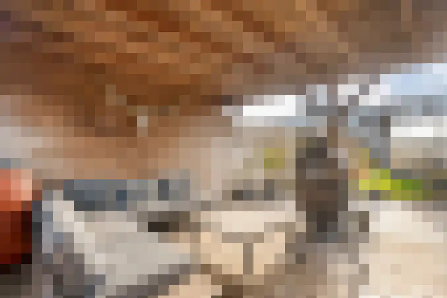 Nijeveenseweg 72 Meppel thumbnail 36