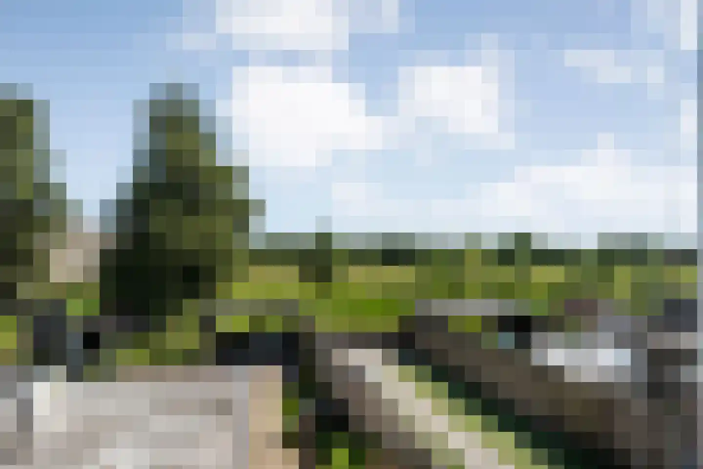 Nijeveenseweg 76 Meppel thumbnail 41