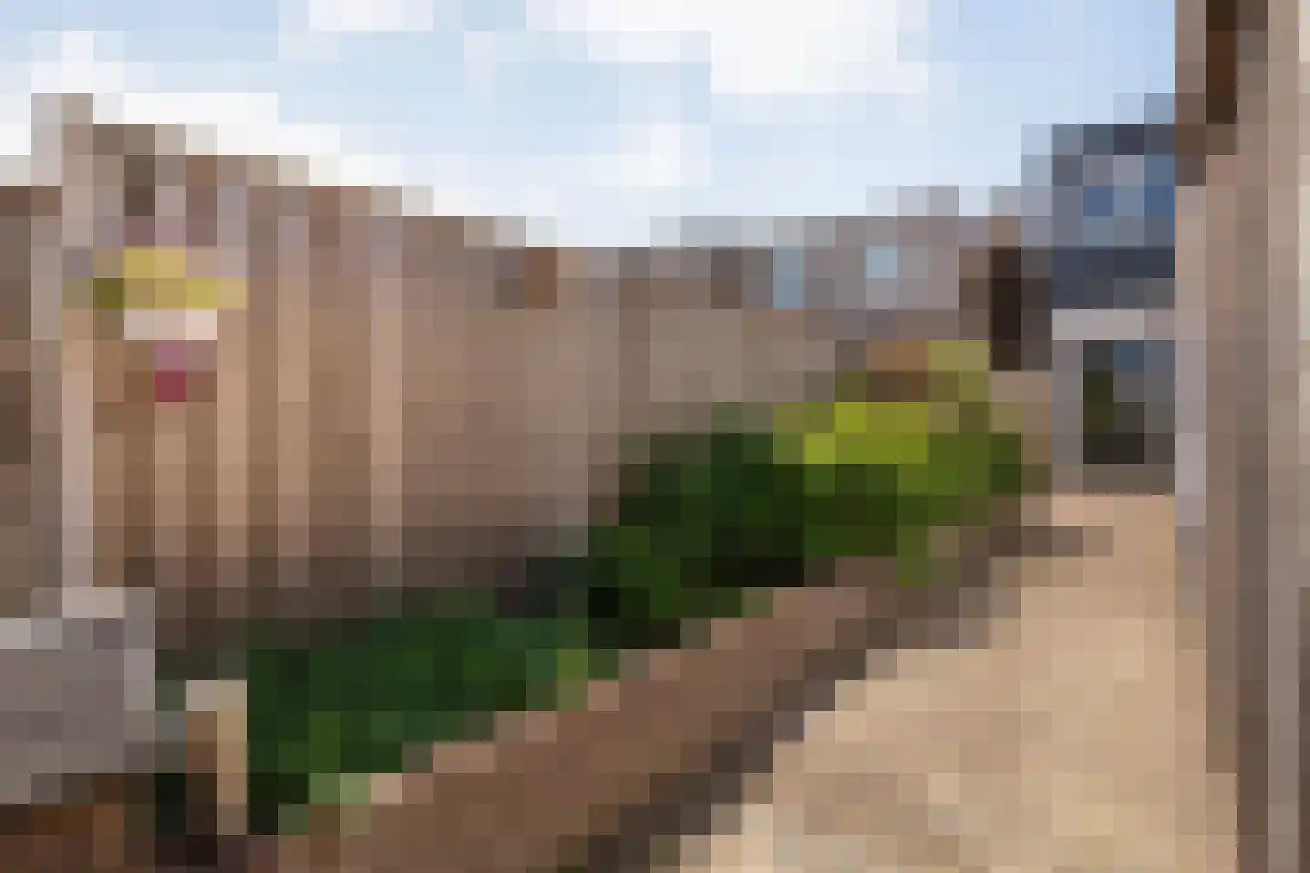 Nijeveenseweg 76 Meppel thumbnail 42