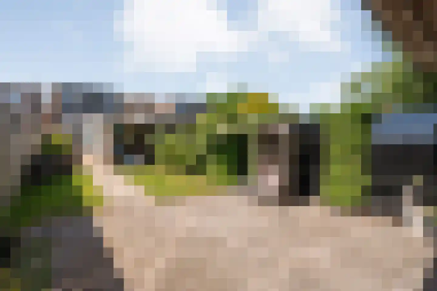 Nijeveenseweg 76 Meppel thumbnail 46