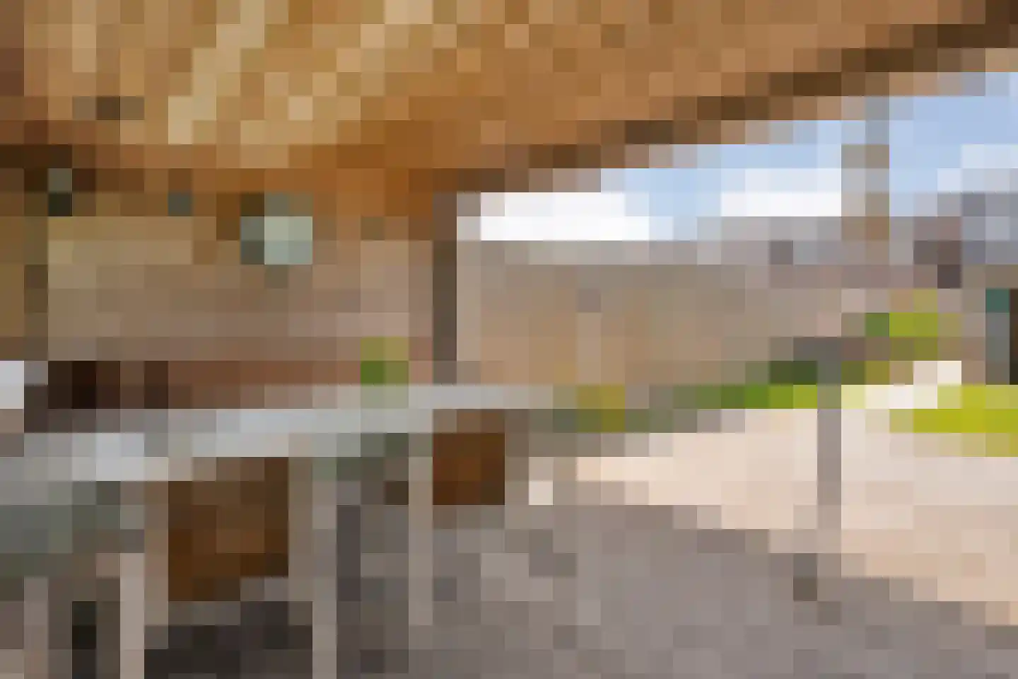 Nijeveenseweg 76 Meppel thumbnail 47